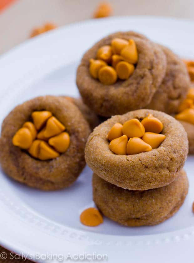 Soft-Gingersnaps-with-Butterscotch-Chips-by-Sallys-Baking-Addiction-cookies-3