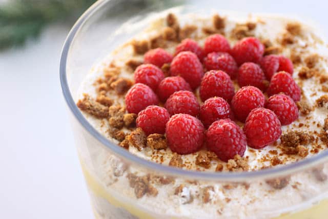 gingerbread-eggnog-trifle-close