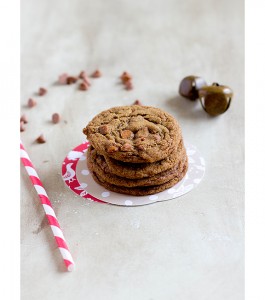 Cinnamon-Spice-Cookies