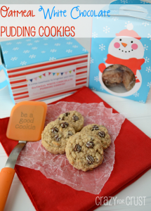 Oatmeal-Pudding-Cookies-1-words