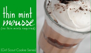 thin mint mousse