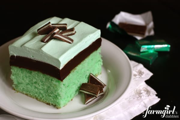 600afd_X_IMG_4506_grasshopper-cake