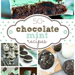 Over 50 of the BEST #Chocolate #Mint #Recipes from your favorite bloggers! From cookies to ice cream to gluten free-- it's all here! www.somethingswanky.com