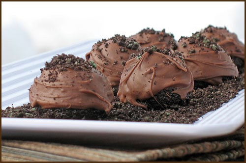 Mint_Oreo_Truffle_Balls_blog