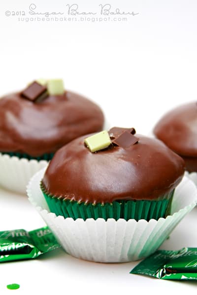 chocmintcupcakes