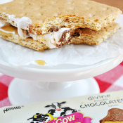 Milk Chocolate and Caramel Skinny S'mores | www.somethingswanky.com