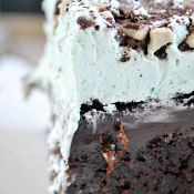 Better Than Thin Mints... Grasshopper Poke Cake | www.somethingswanky.com