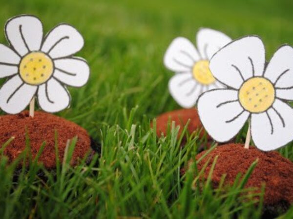 Flower Patch Cupcakes for Mother’s Day Recipe