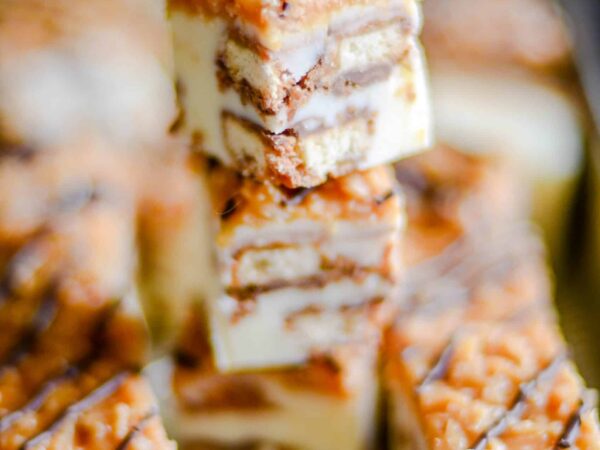 Samoas Fudge Recipe
