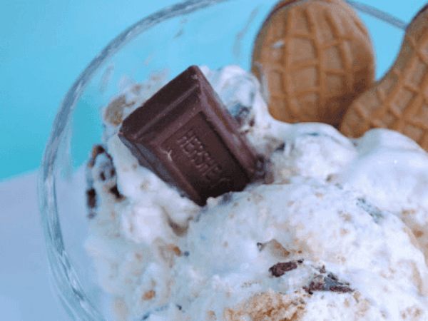Nutter Butter S’mores Ice Cream