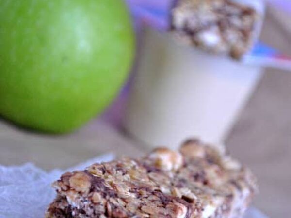 Chewy S’mores Granola Bars (no bake)