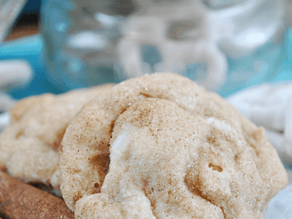 White Chocolate Pretzel Snickerdoodles Recipe