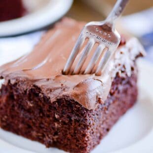 My new favorite chocolate cake! Super tender and moist and ultra chocolate-y.