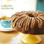Pudding Filled Chocolate Cake | www.somethingswanky.com