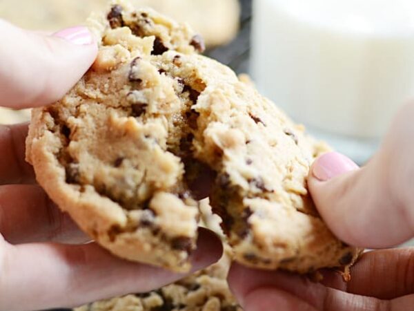 KAF Chocolate Chip Oatmeal Cookies