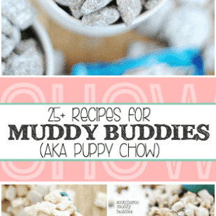 25+ Snackable Muddy Buddy Recipes from Swanky