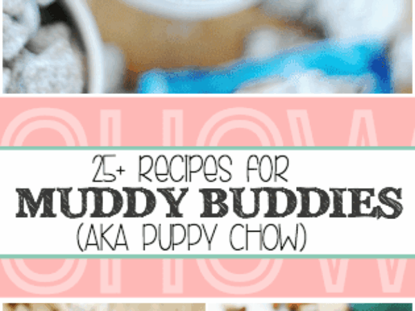 25+ Snackable Muddy Buddy Recipes from Swanky