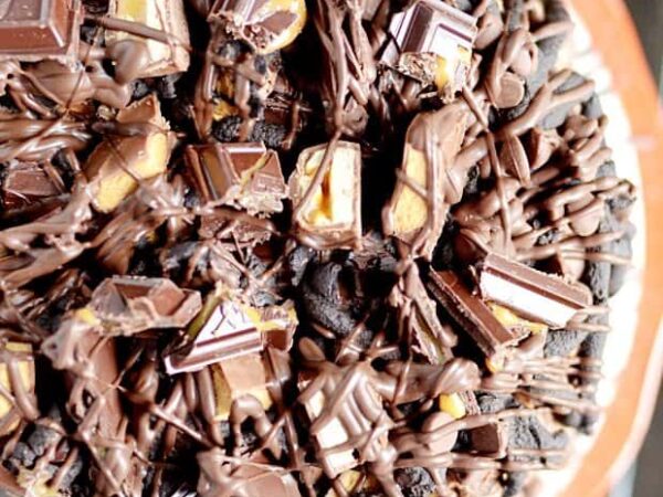Chocolate Wasted Cake Recipe