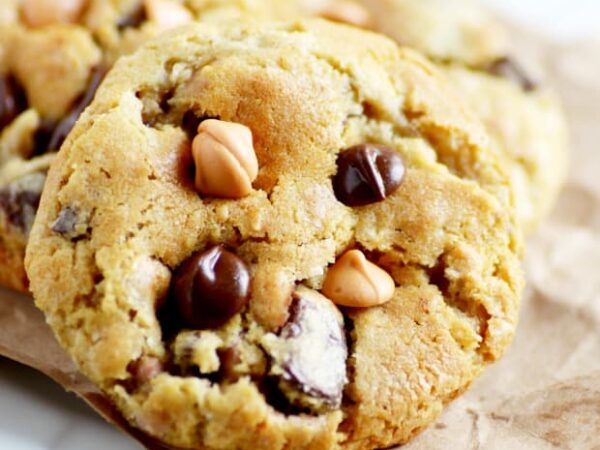 Chocolate Chip Oatmeal Scotchies Recipe
