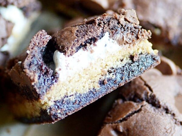 Nutella Brownie S’mores Cookie Bars Recipe