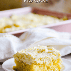 Moist, fluffy, buttery yellow cake filled with juicy mandarin oranges topped with a cool, creamy pineapple and whipped cream frosting-- Pig Cake is the ultimate summer time dessert!