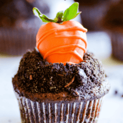 Chocolate cupcakes with whipped chocolate ganache dipped in Oreo crumbs and topped with a candy coated strawberry (that looks like a carrot!). These dirt cupcakes are perfect for springtime!