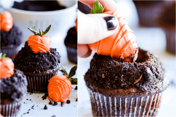 Chocolate cupcakes with whipped chocolate ganache dipped in Oreo crumbs and topped with a candy coated strawberry (that looks like a carrot!). These dirt cupcakes are perfect for springtime!