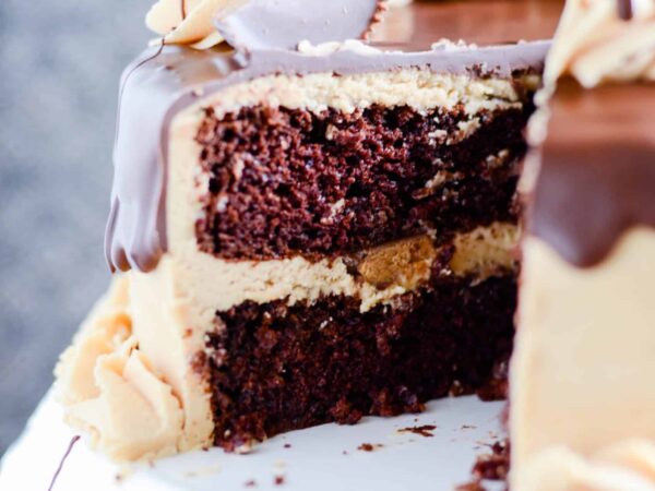 Chocolate Peanut Butter Cup Cake Recipe