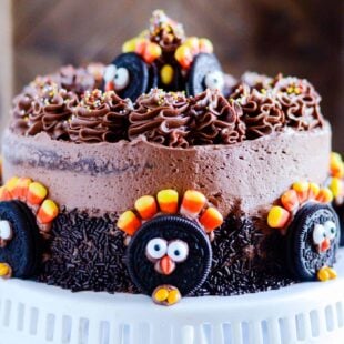 Recipe and instructions for a really cute and easy Thanksgiving cake!