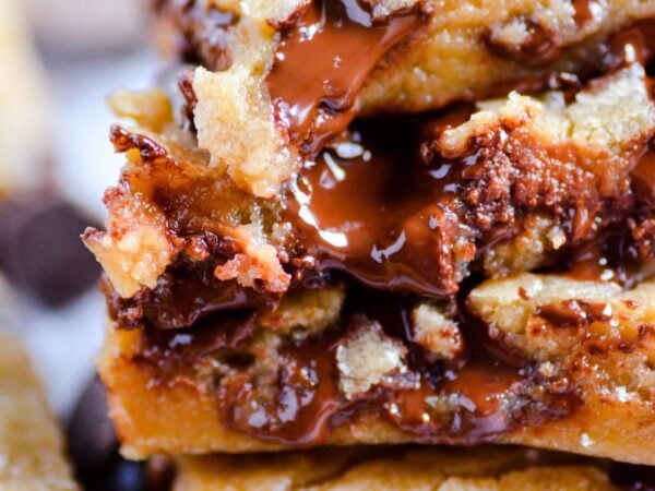 Classic Chocolate Chip Blondies Recipe