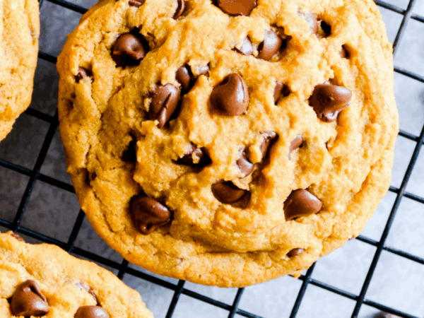 Chocolate Chip Pumpkin Cookies Recipe