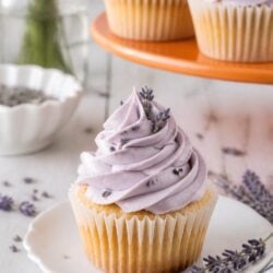 This dreamy lavender cupcake recipe has a tender crumb & honey lemon frosting. So easy & absolutely delicious — you HAVE to make these! 💜