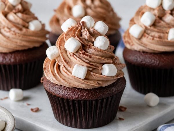 Skinny Frozen Hot Chocolate Cupcakes with Marshmallow