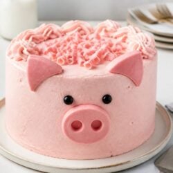 This pig cake recipe is a moist, fluffy southern classic loaded with mandarin oranges & creamy pineapple frosting. Perfect for any gathering! 🐷