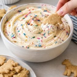 This creamy cake batter dip for animal crackers is a fun, no-bake dessert dip that's ready in 5 minutes! Perfect for parties & snack time.