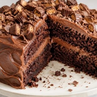 Chocolate Wasted Cake: How I Got This Fudgy Brownie Cake