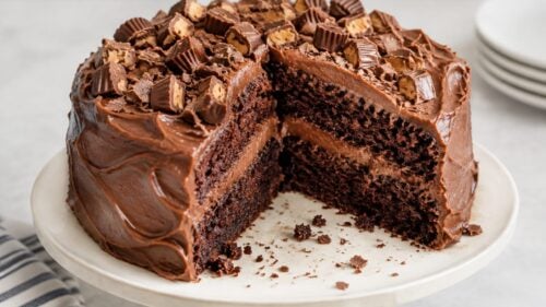 Chocolate wasted cake is a fudgy, candy-covered dream topped with Snickers, Reese's & ganache — the ultimate over-the-top dessert!
