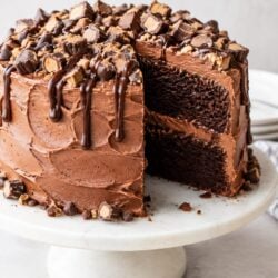 Chocolate wasted cake is a fudgy, candy-covered dream topped with Snickers, Reese's & ganache — the ultimate over-the-top dessert!